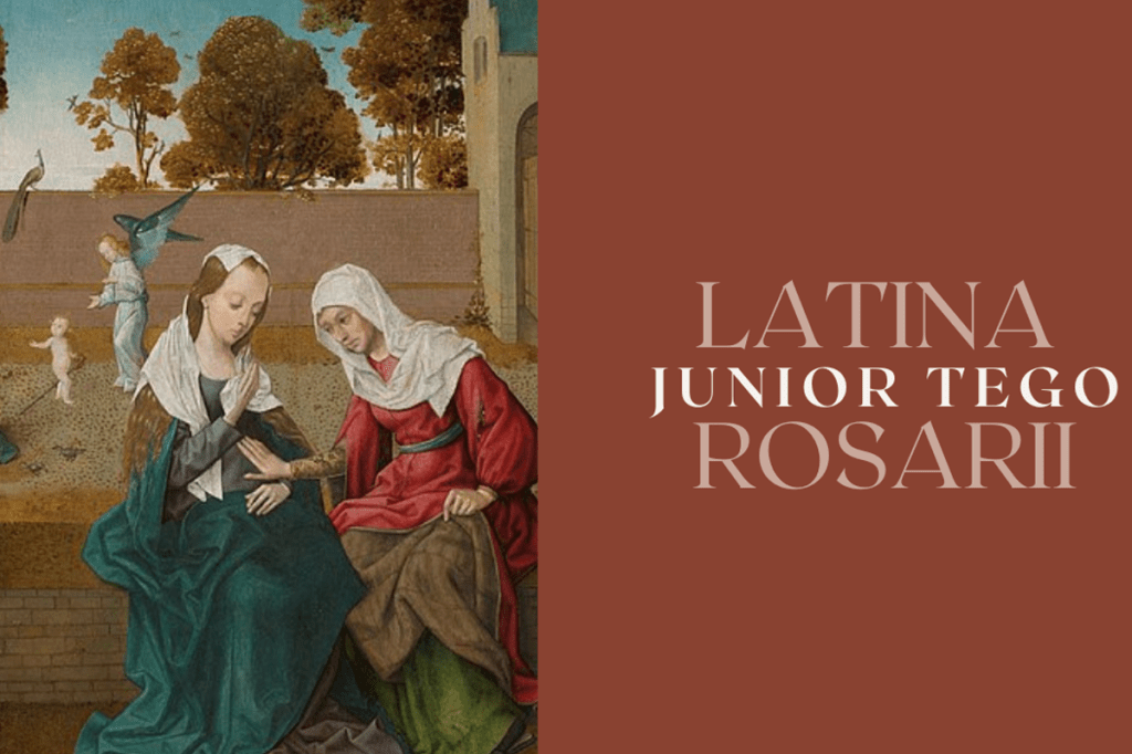 Introducing ‘Tego’